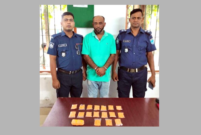 ৩ হাজার ৫৫০ পিস ইয়াবাসহ মাদক কারবারি আটক